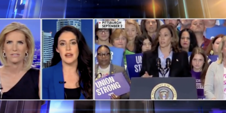 Anna Paulina Luna Rips Harris Ignoring Border ‘Rape, Trafficking, Torture’ After Campaigning To ‘Represent All Women’